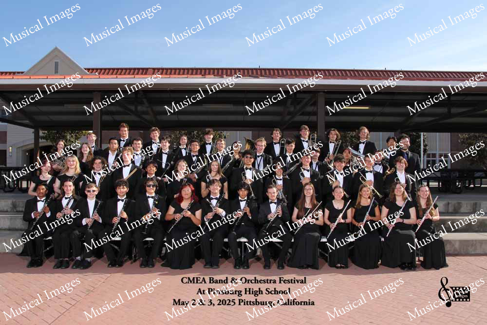 Musical Images